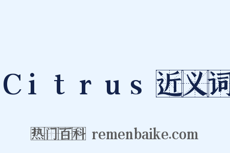 Citrus近义词是什么意思的图片